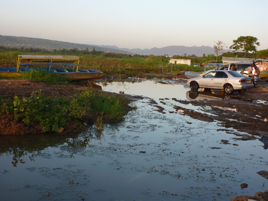 Monitoring water systems to ensure water quality